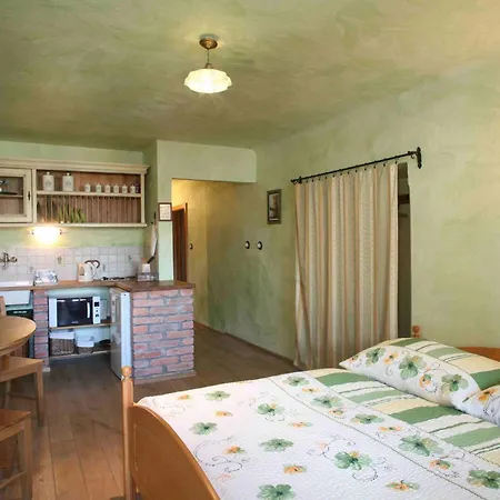 Apartment Reve Trebon