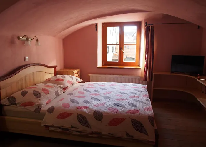 Reve Apartamento Třeboň